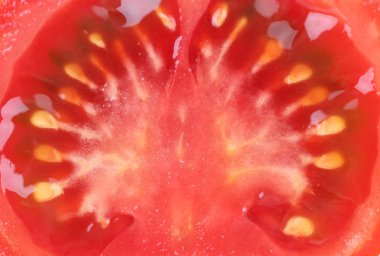 Beyaz arka planda izole edilmiş bir domates dilimi