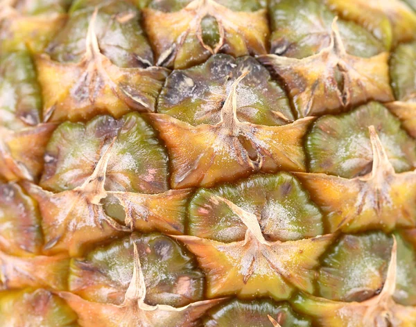Pineapple fruit close up. — Stock Photo, Image