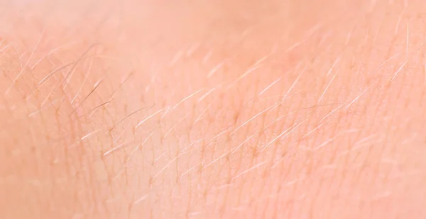 Textura humana da pele. Cabelo. Fechar . — Fotografia de Stock