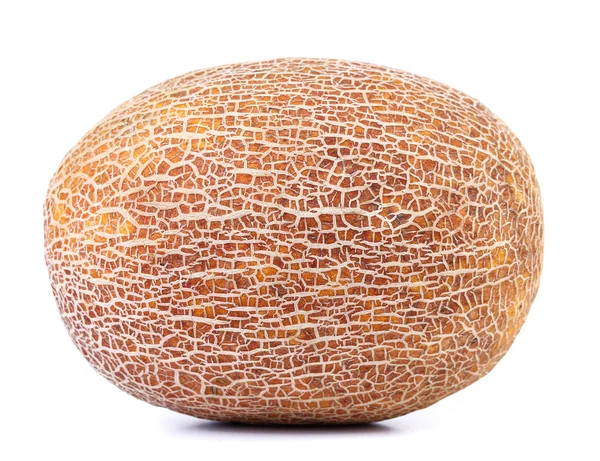 Melon isolated on a white background — Stock Photo, Image