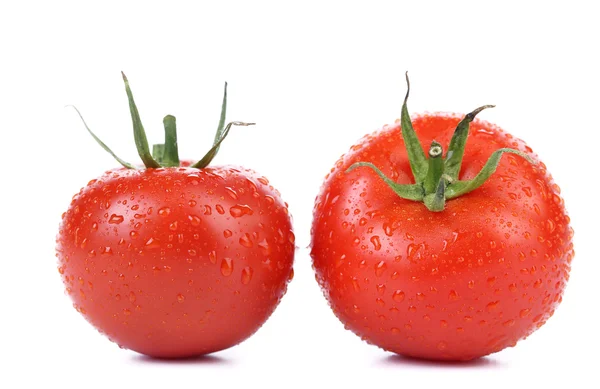 Deux tomates rouges mûres isolées — Photo