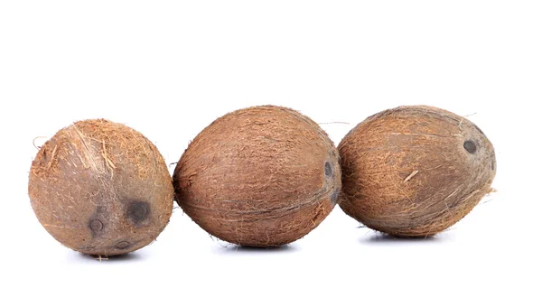 Três cocos isolados sobre fundo branco — Fotografia de Stock
