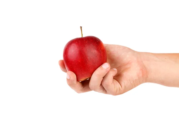 Moget rött äpple på hand. — Stockfoto