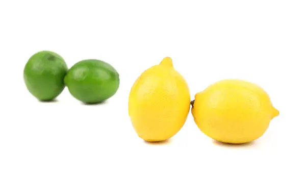 Ripe lime and lemon. — Stock Photo, Image