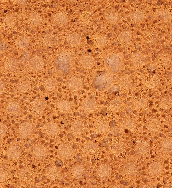 Background of reverse side biscuit. Macro. — Stock Photo, Image