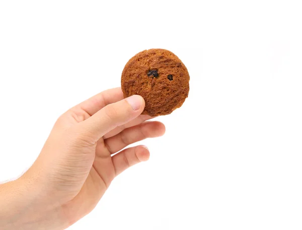 Hand holds oatmeal cooky with raisins — Stock Photo, Image