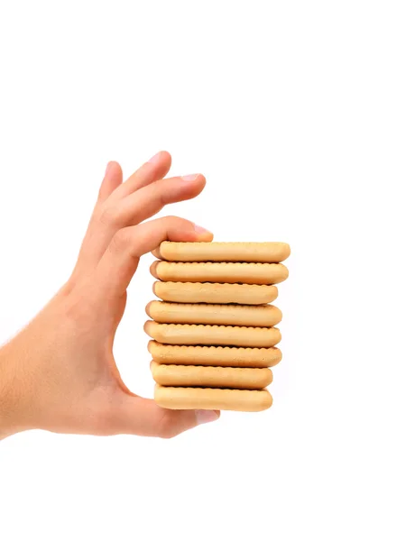 Hand holds stake saltine soda cracker. — Stock Photo, Image