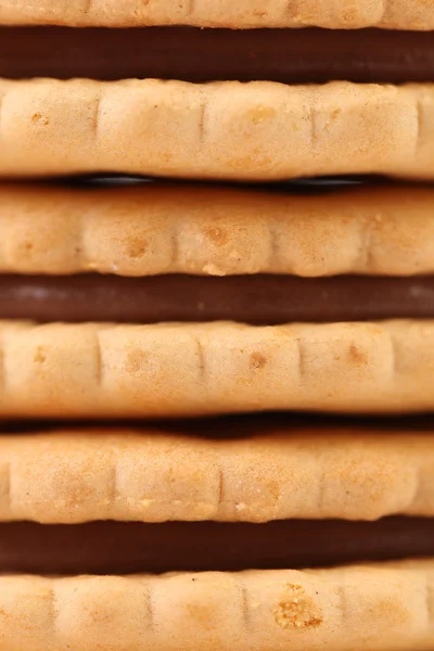 Achtergrond van sandwich koekjes met chocolade. — Stockfoto