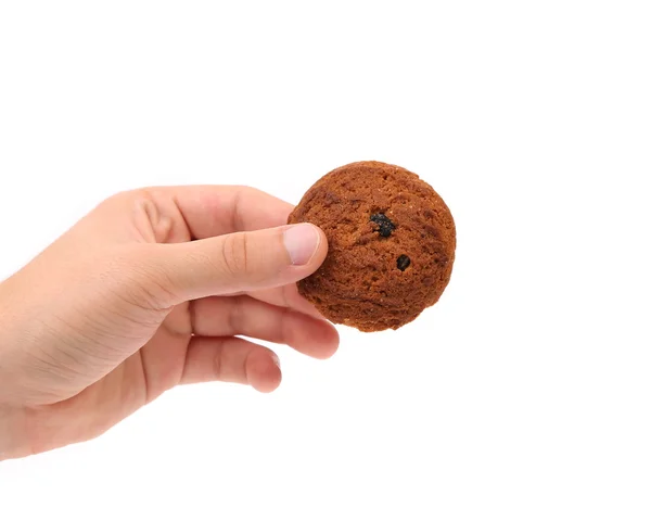 Ruka drží ovesné sušenky. — Stock fotografie