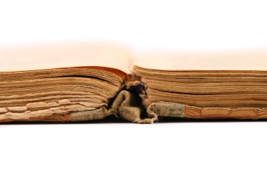 eski kitap açıldı