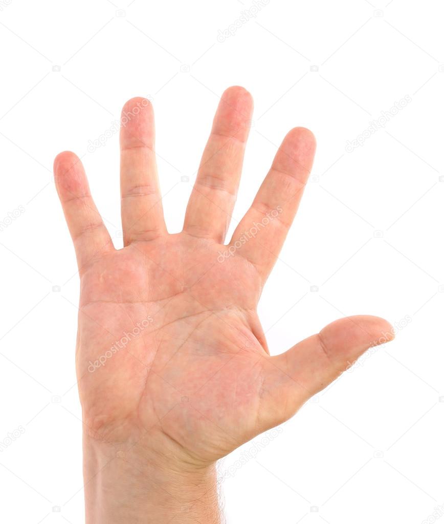 Five fingers. Man's hand.
