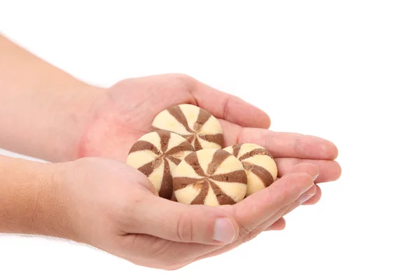 Hand houdt koekjes van een chocolade kruidnagel. — Stockfoto