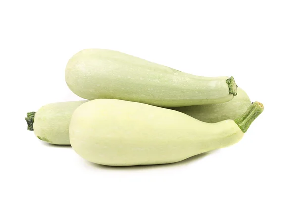 Fresh vegetable marrow. — Stock Photo, Image