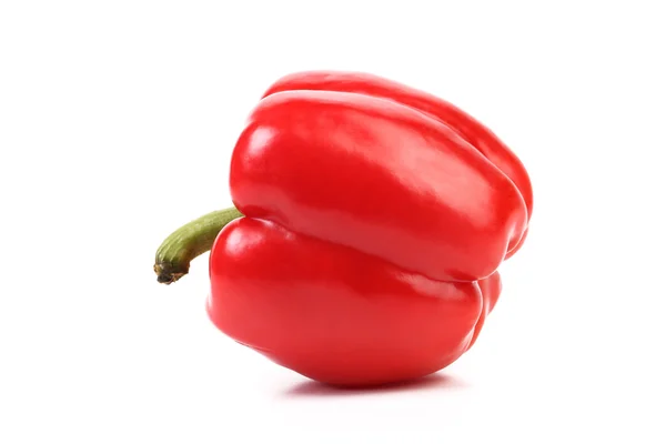 Red pepper with tail. — Stock Photo, Image