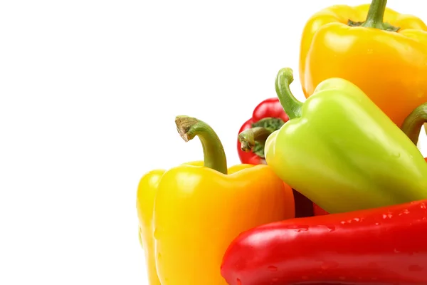 Multi-colour peppers on a white background. — Stock Photo, Image