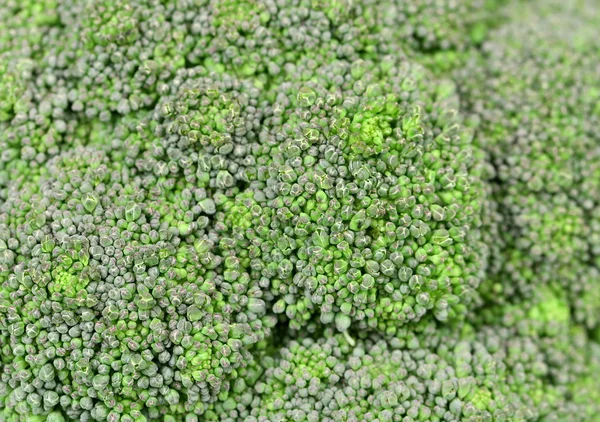 Bakgrund av färsk broccoli. makro. — Stockfoto