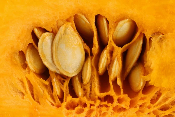 Close up of texture pumpkin. — Stock Photo, Image