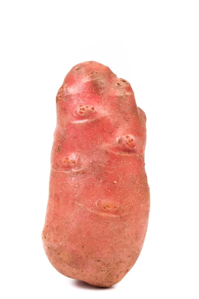 Rode zoete aardappel — Stockfoto