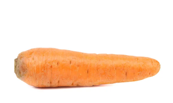 Свежая морковь — стоковое фото