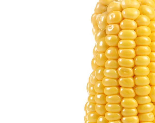 Főtt kukorica és a fehér háttér 50,50. — Stock Fotó