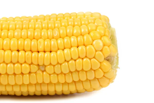 Farok-főtt kukoricát. — Stock Fotó