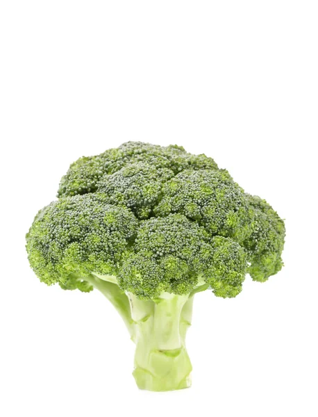 Brócoli fresco sano . — Foto de Stock