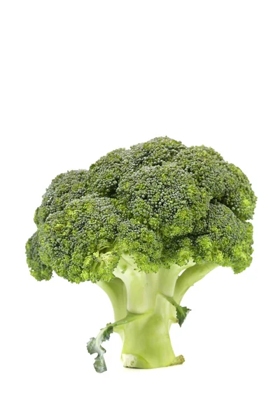 Brócolos frescos e saudáveis — Fotografia de Stock