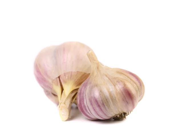 Garlic isolated on a white background — Stock Photo, Image