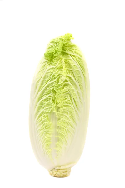 Tasty Chinese cabbage — Stock Photo, Image