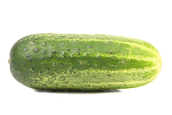 Fresh green cucumber — Stock Photo, Image