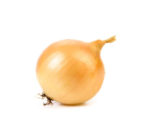 Ripe onion — Stock Photo, Image