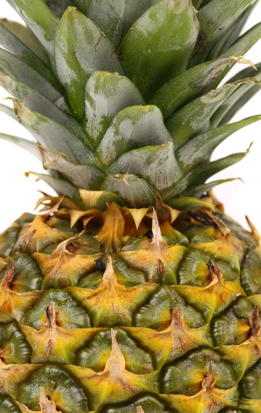 Toppen av ananas. — Stockfoto
