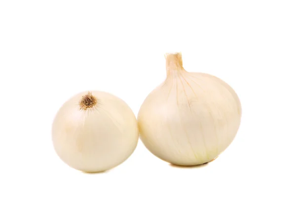 White onion — Stock Photo, Image