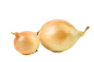 goldish soğan.