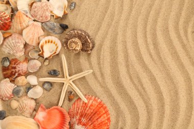 arka planını kum, kabukları ve Deniz Başlat