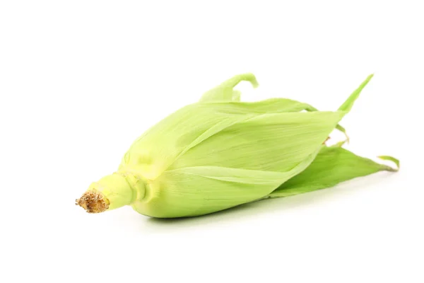 Zielone liście pokryte dojrzałych ucho kukurydzy. — Zdjęcie stockowe