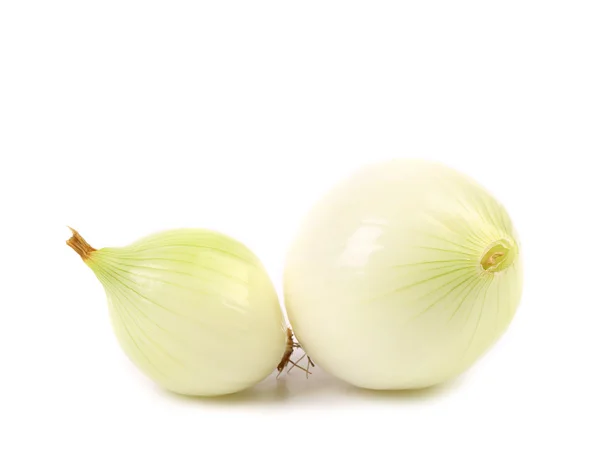 Soyulmuş beyaz soğan — Stok fotoğraf