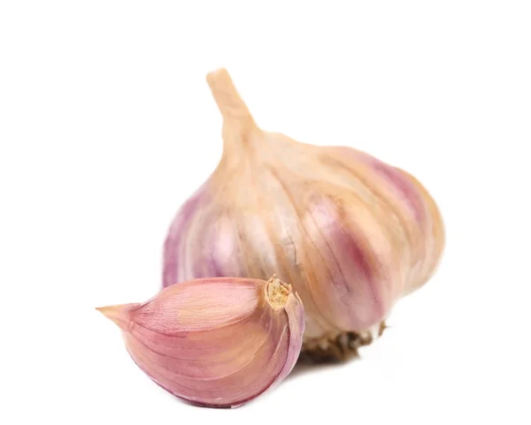 Fresh garlic a nd clove. — Stock Photo, Image