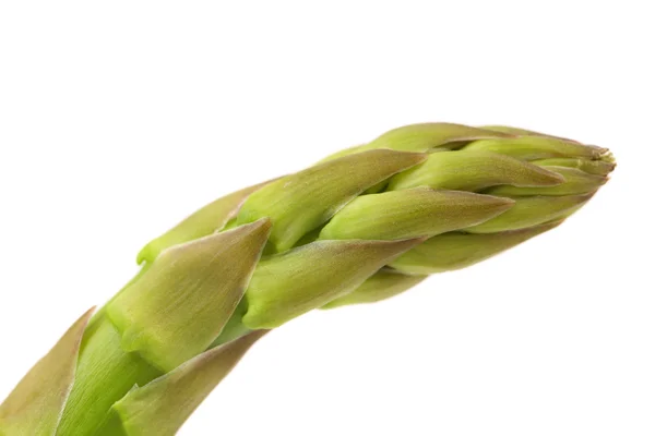 Fresh asparagus spear — Stock Photo, Image