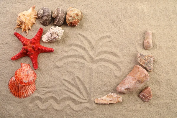 Composición de arena, conchas, piedras y estrellas de mar . — Foto de Stock