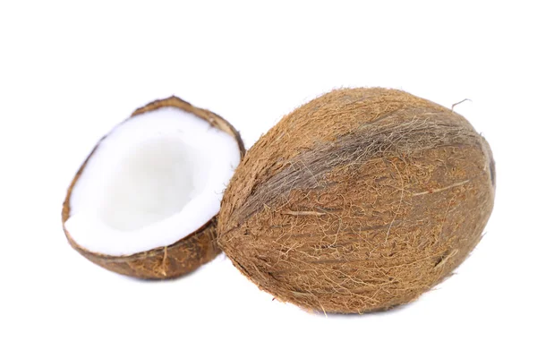 Metà e cocco sicuro . — Foto Stock