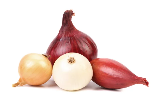 Fresh different kind onions — Stock Photo, Image