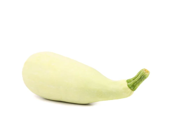 Fresh vegetable marrow — Stock Photo, Image