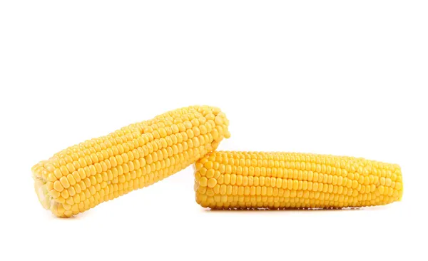 Два кукурузных початка на белом фоне — стоковое фото