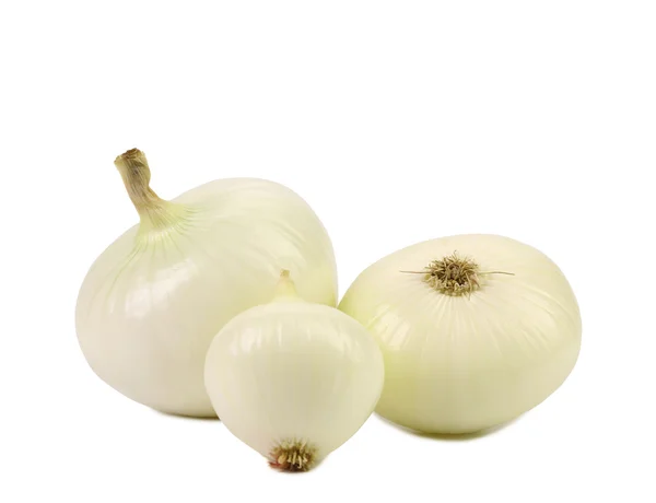 White onion isolated — Stock Photo, Image