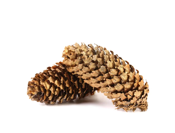 Golden large pine cones. — Stock Photo, Image