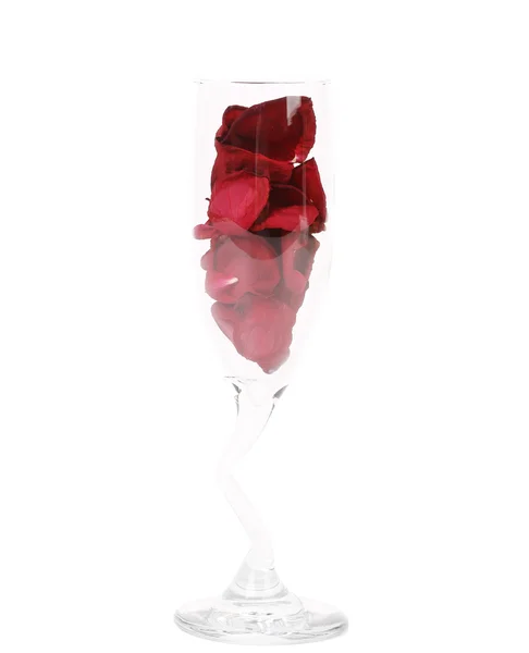 バラの花びらでシャンパン グラス — ストック写真