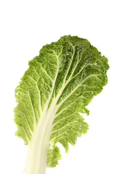Leaf of chinese cabbage close up. — Stock Photo, Image
