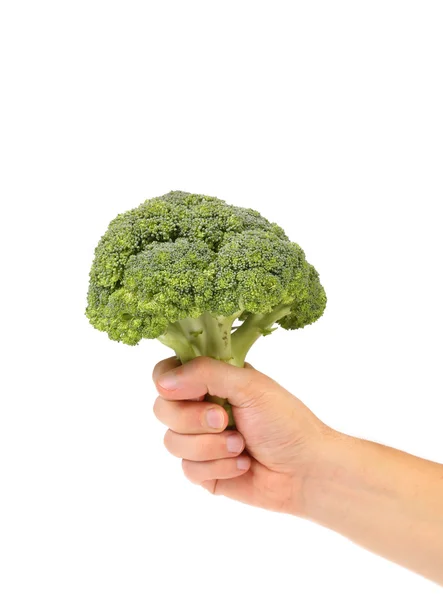 Broccoli per le mani . — Foto Stock