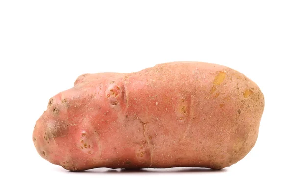 Kırmızı patates yumru. — Stok fotoğraf